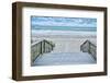 Savor the Seas-Mary Lou Johnson-Framed Photo