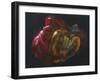 Savory Peppers-Barbara Keith-Framed Giclee Print