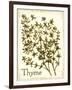 Savory Thyme-The Saturday Evening Post-Framed Giclee Print