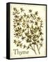 Savory Thyme-The Saturday Evening Post-Framed Stretched Canvas