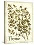 Savory Thyme-The Saturday Evening Post-Stretched Canvas