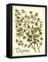 Savory Thyme-The Saturday Evening Post-Framed Stretched Canvas