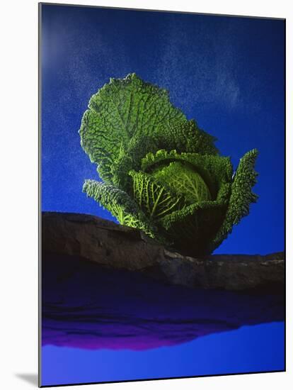 Savoy, 1993-Norman Hollands-Mounted Photographic Print