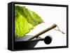 Savoy Cabbage Leaf Falling into a Wok-Jean-Michel Georges-Framed Stretched Canvas