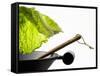 Savoy Cabbage Leaf Falling into a Wok-Jean-Michel Georges-Framed Stretched Canvas