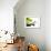 Savoy Cabbage Leaf Falling into a Wok-Jean-Michel Georges-Framed Photographic Print displayed on a wall