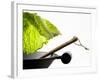 Savoy Cabbage Leaf Falling into a Wok-Jean-Michel Georges-Framed Photographic Print