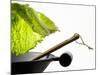 Savoy Cabbage Leaf Falling into a Wok-Jean-Michel Georges-Mounted Photographic Print