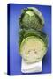 Savoy Cabbage, Whole and Half-Foodcollection-Stretched Canvas