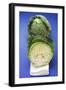 Savoy Cabbage, Whole and Half-Foodcollection-Framed Photographic Print