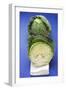 Savoy Cabbage, Whole and Half-Foodcollection-Framed Photographic Print