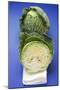 Savoy Cabbage, Whole and Half-Foodcollection-Mounted Photographic Print