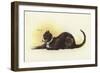 Savoy Cat-Dudley Hardy-Framed Giclee Print