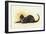 Savoy Cat-Dudley Hardy-Framed Giclee Print