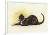 Savoy Cat-Dudley Hardy-Framed Giclee Print