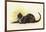 Savoy Cat-Dudley Hardy-Framed Giclee Print