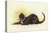 Savoy Cat-Dudley Hardy-Stretched Canvas