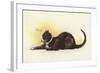 Savoy Cat-Dudley Hardy-Framed Giclee Print