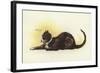 Savoy Cat-Dudley Hardy-Framed Giclee Print