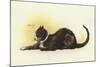 Savoy Cat-Dudley Hardy-Mounted Giclee Print