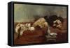 Savoyard Boy Sleeping, 1869-Wilhelm Leibl-Framed Stretched Canvas