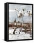 Savrasov: Ravens, 1871-Aleksei Kondratevich Savrasov-Framed Stretched Canvas