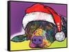 Savvy Labrador Christmas-Dean Russo-Framed Stretched Canvas