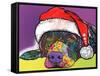 Savvy Labrador Christmas-Dean Russo-Framed Stretched Canvas