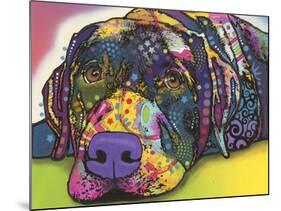 Savvy Labrador-Dean Russo-Mounted Giclee Print