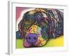 Savvy Labrador-Dean Russo-Framed Giclee Print