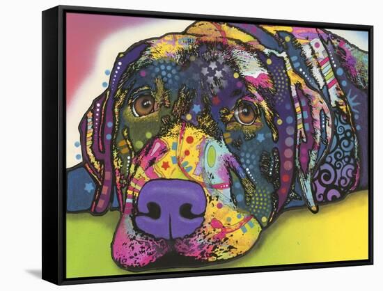 Savvy Labrador-Dean Russo-Framed Stretched Canvas