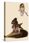 Saw-Whet Owls-John James Audubon-Stretched Canvas