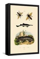 Sawfish, 1833-39-null-Framed Stretched Canvas