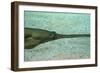 Sawfish-null-Framed Photographic Print