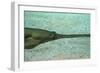 Sawfish-null-Framed Photographic Print