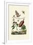 Sawfly, 1833-39-null-Framed Giclee Print