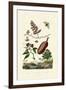 Sawfly, 1833-39-null-Framed Giclee Print