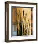 Sawgrass I-Rick Novak-Framed Premium Giclee Print