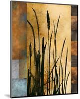Sawgrass I-Rick Novak-Mounted Premium Giclee Print