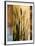 Sawgrass I-Rick Novak-Framed Premium Giclee Print