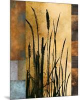 Sawgrass I-Rick Novak-Mounted Premium Giclee Print