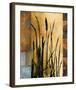 Sawgrass I-Rick Novak-Framed Art Print