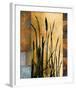 Sawgrass I-Rick Novak-Framed Art Print