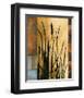 Sawgrass I-Rick Novak-Framed Art Print