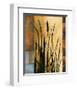 Sawgrass I-Rick Novak-Framed Art Print