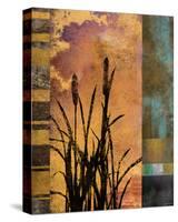 Sawgrass II-Rick Novak-Stretched Canvas