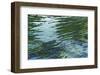 Sawgrass Lake-Margaret Juul-Framed Art Print