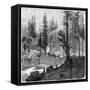 Sawmill, California, 19th Century-Theroud-Framed Stretched Canvas