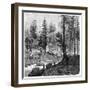 Sawmill, California, 19th Century-Theroud-Framed Giclee Print