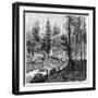 Sawmill, California, 19th Century-Theroud-Framed Giclee Print